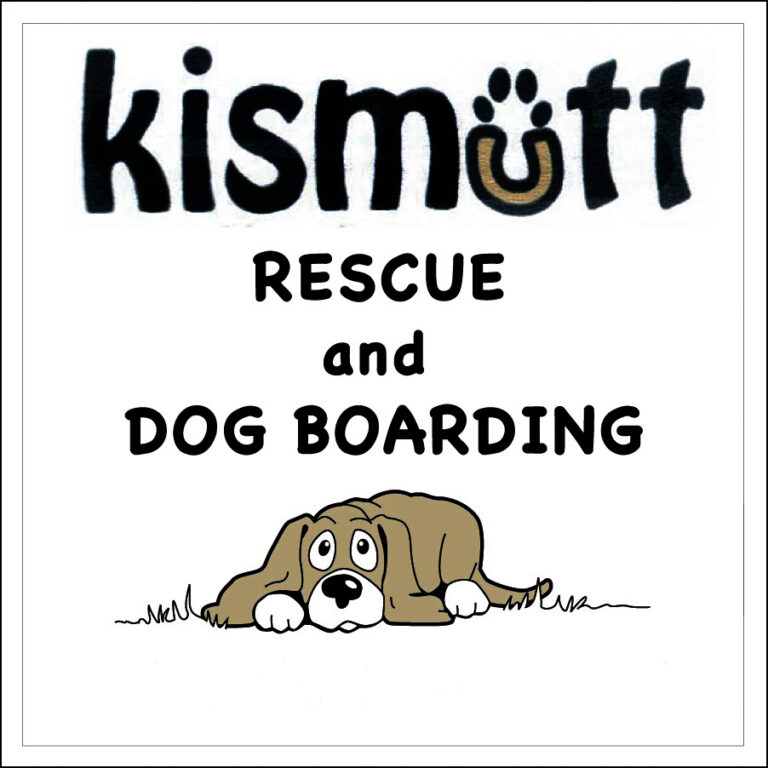 Kismutt Rescue Reviews