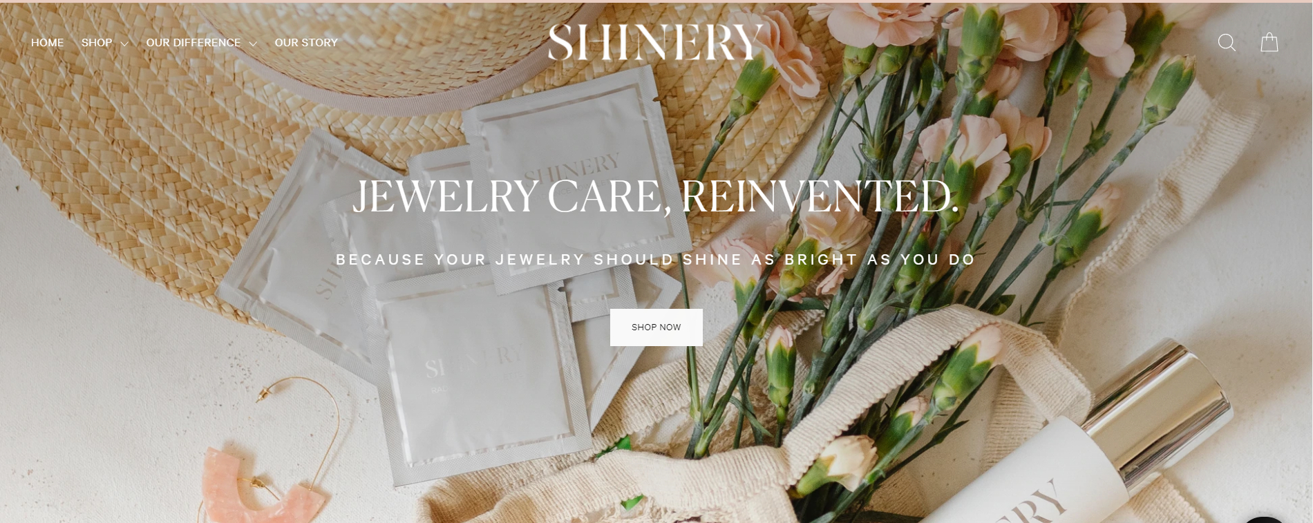 Shinery Jewelry Cleaner Reviews