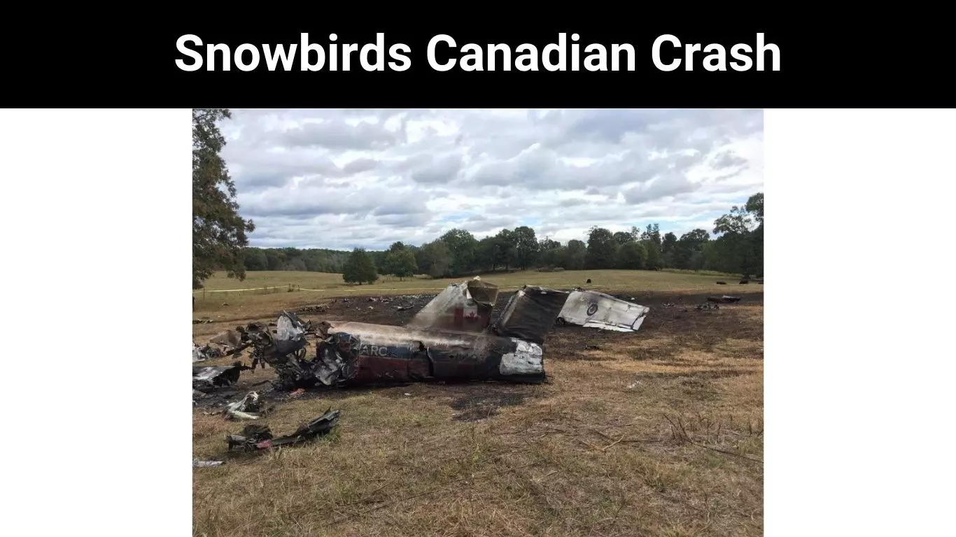 Snowbirds Canadian Crash