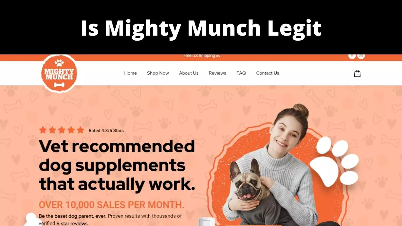 Mighty Munch Reviews