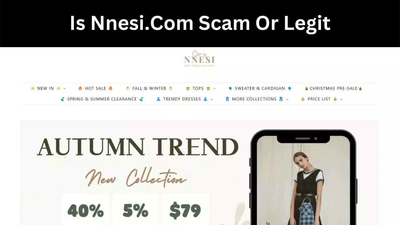 Is Nnesi.Com Scam Or Legit