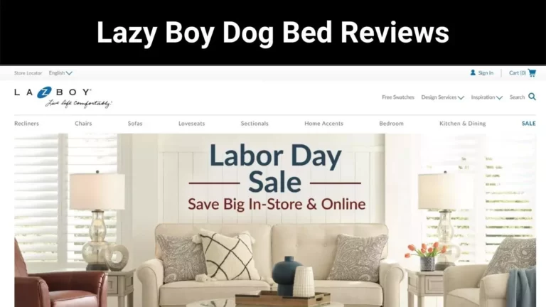 Lazy Boy Dog Bed Reviews
