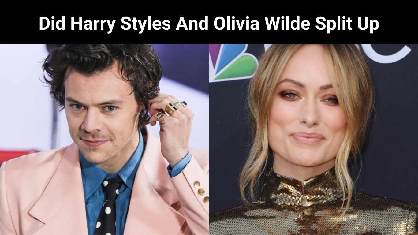 Did Harry Styles And Olivia Wilde Split Up