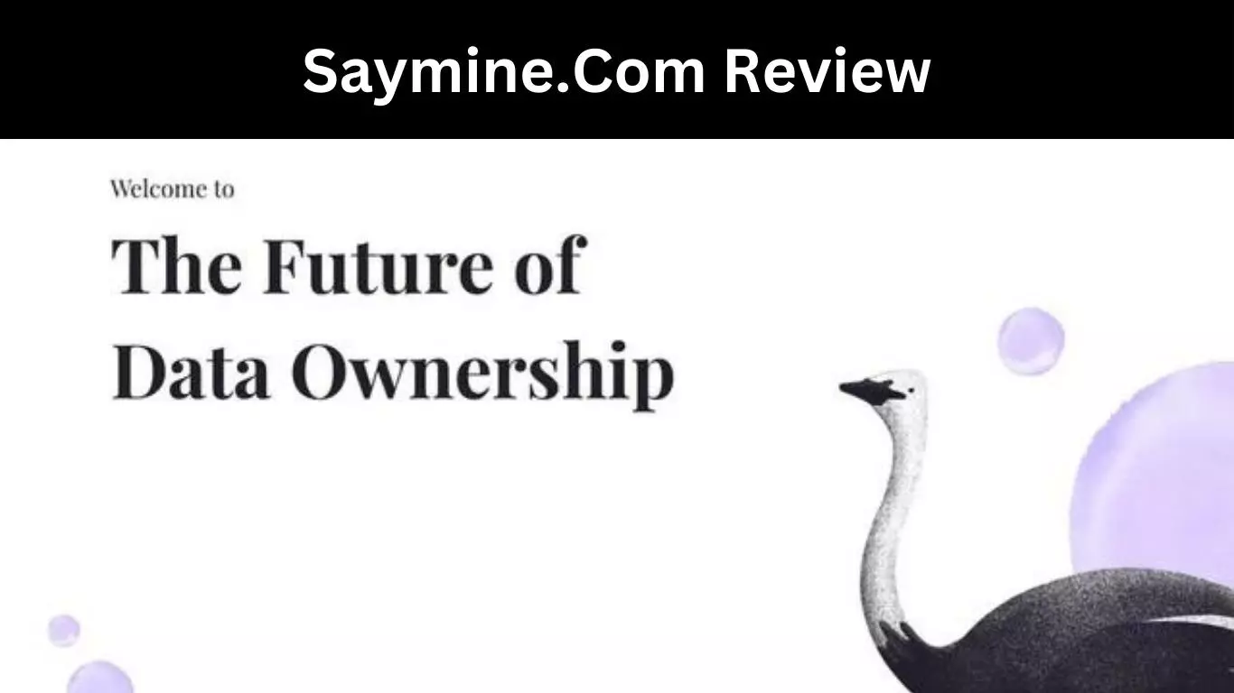 Saymine.Com Review