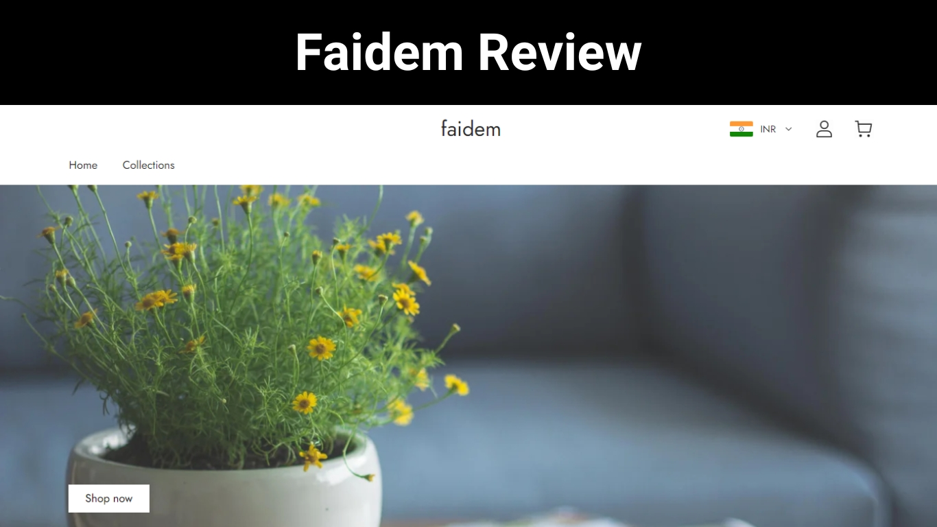 Faidem Review