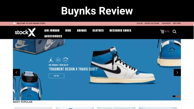 Buynks Review