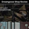 Dreamgoose Shop Review