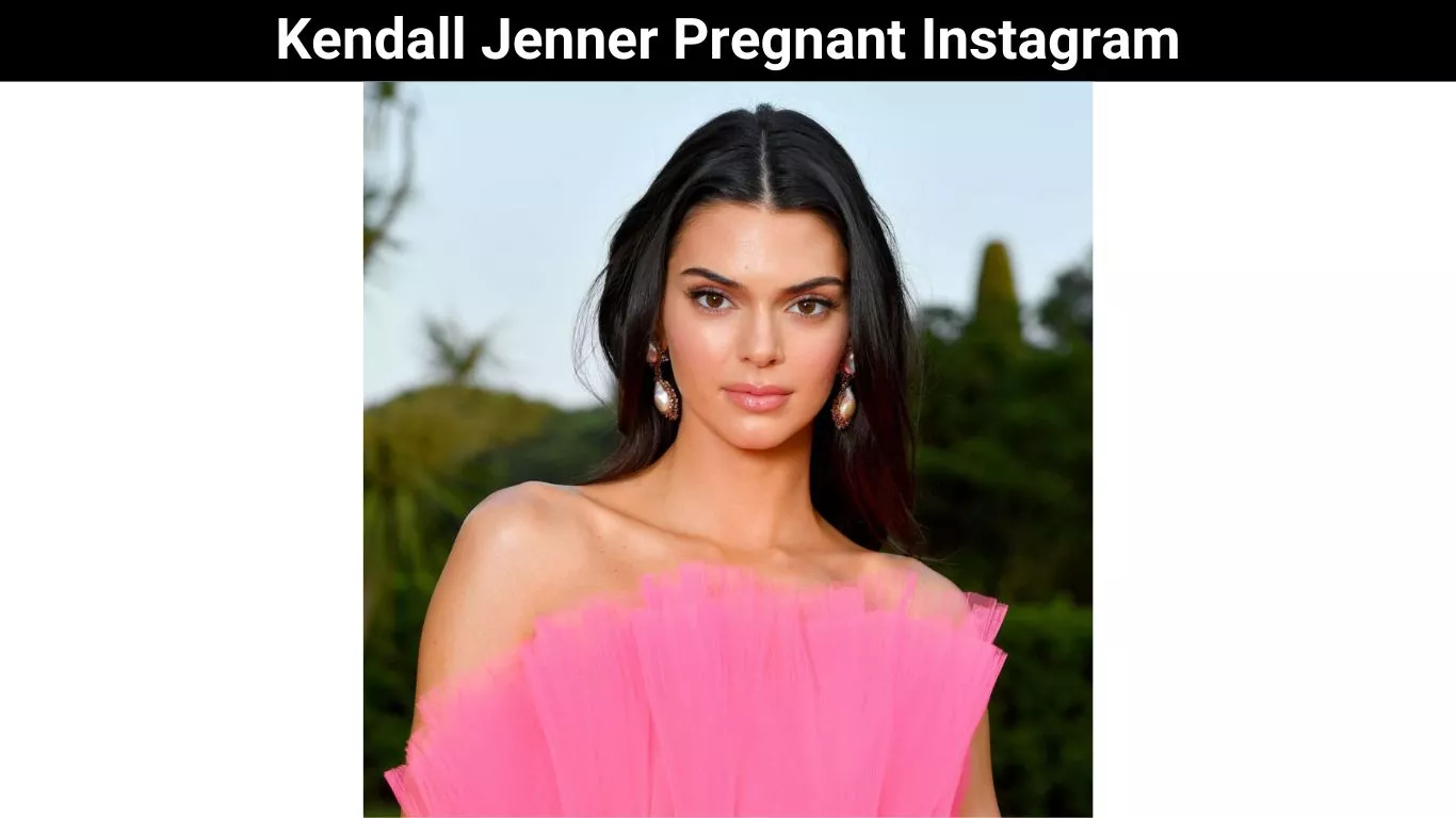 Kendall Jenner Pregnant Instagram
